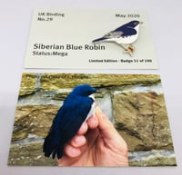 Image 1 of Siberian Blue Robin - No.29 - May 2020