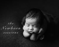 Image 1 of Newborn Photoshoot - deposit only starting at $500