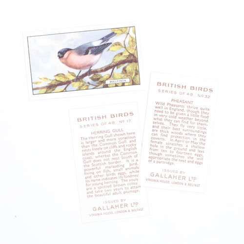 Image of British Birds Cigarette Cards - Set of 8