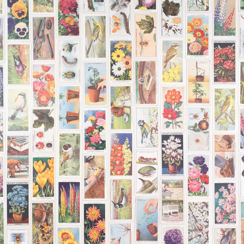 Image of Garden Cigarette Card Variety Pack - Set of 10