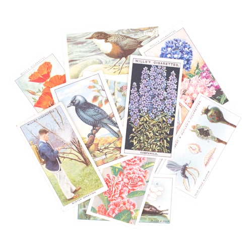 Image of Garden Cigarette Card Variety Pack - Set of 10