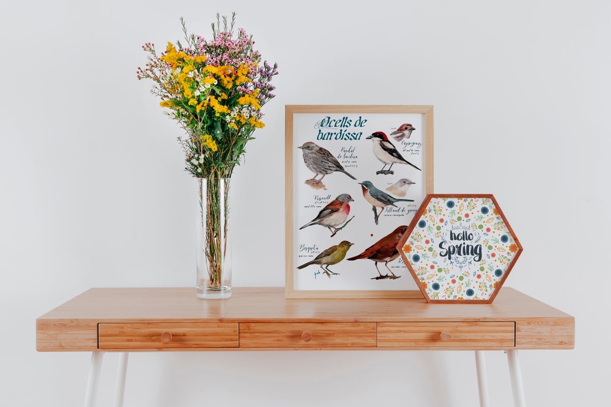 Ocells de bardissa/Reedbed birds