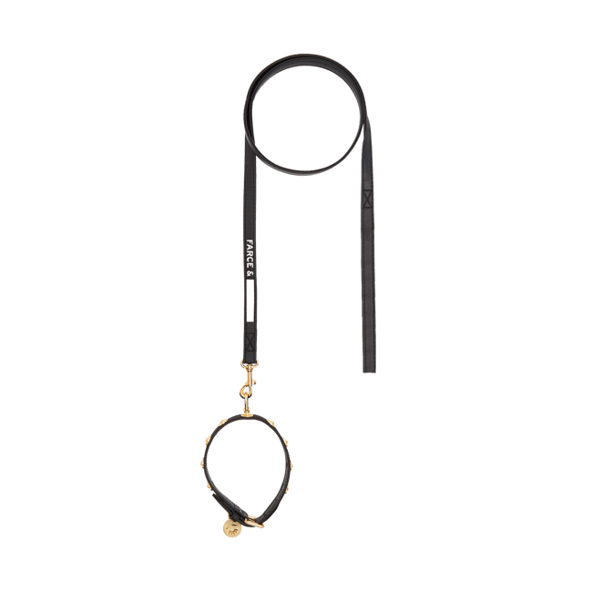 Wild dog_Collar + Leash