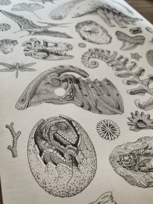 Image of Dinosaur Print A4