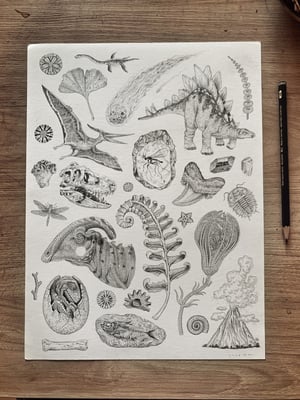 Image of Dinosaur Print A4