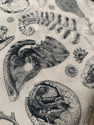 Image of Dinosaur Tote bag 