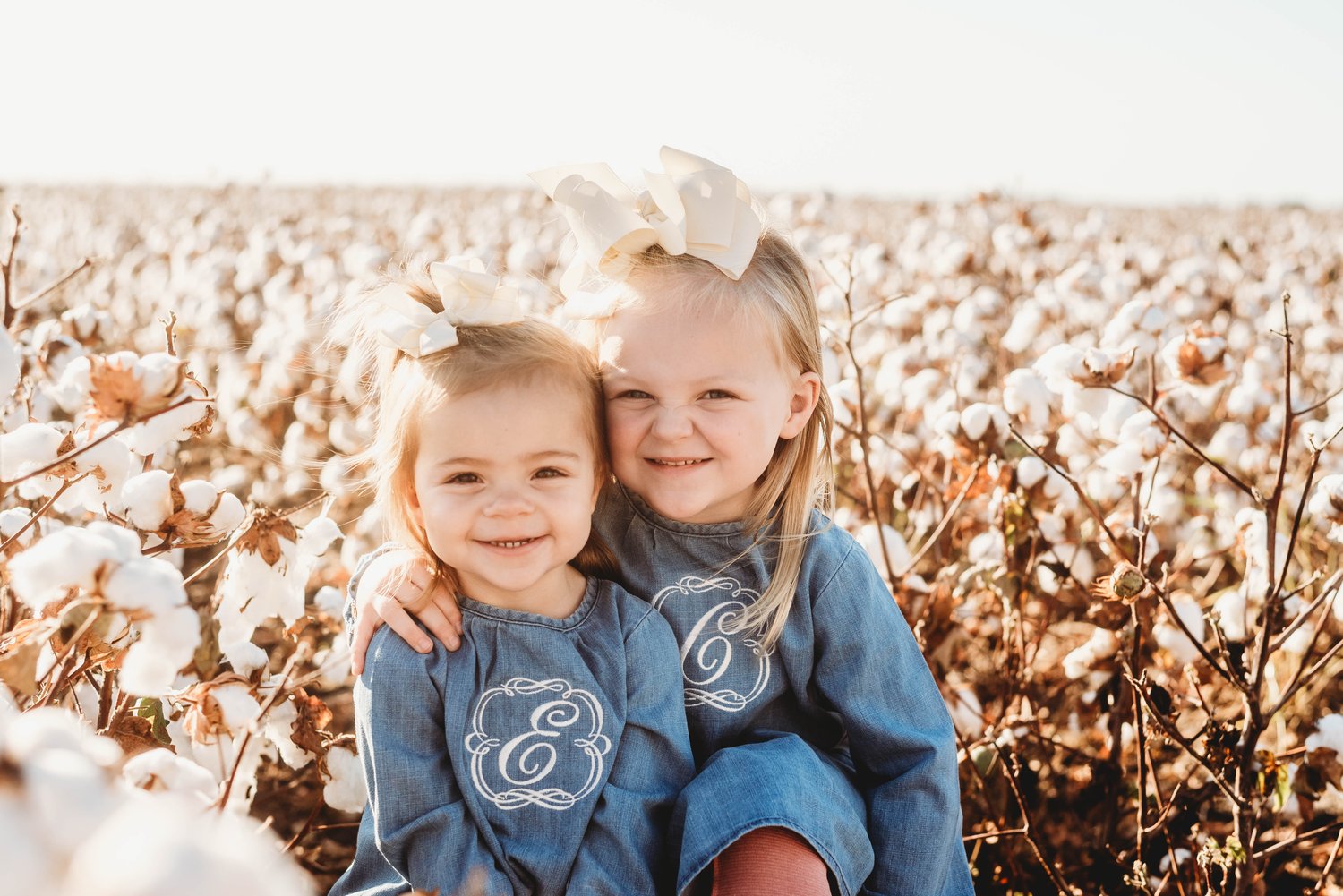 Image of Cotton Mini Session (READ DESCRIPTION)