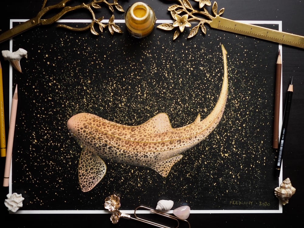 Image of The Golden Shark Fine Art Print