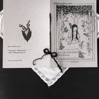 Image 4 of An abandoned journal - booklet