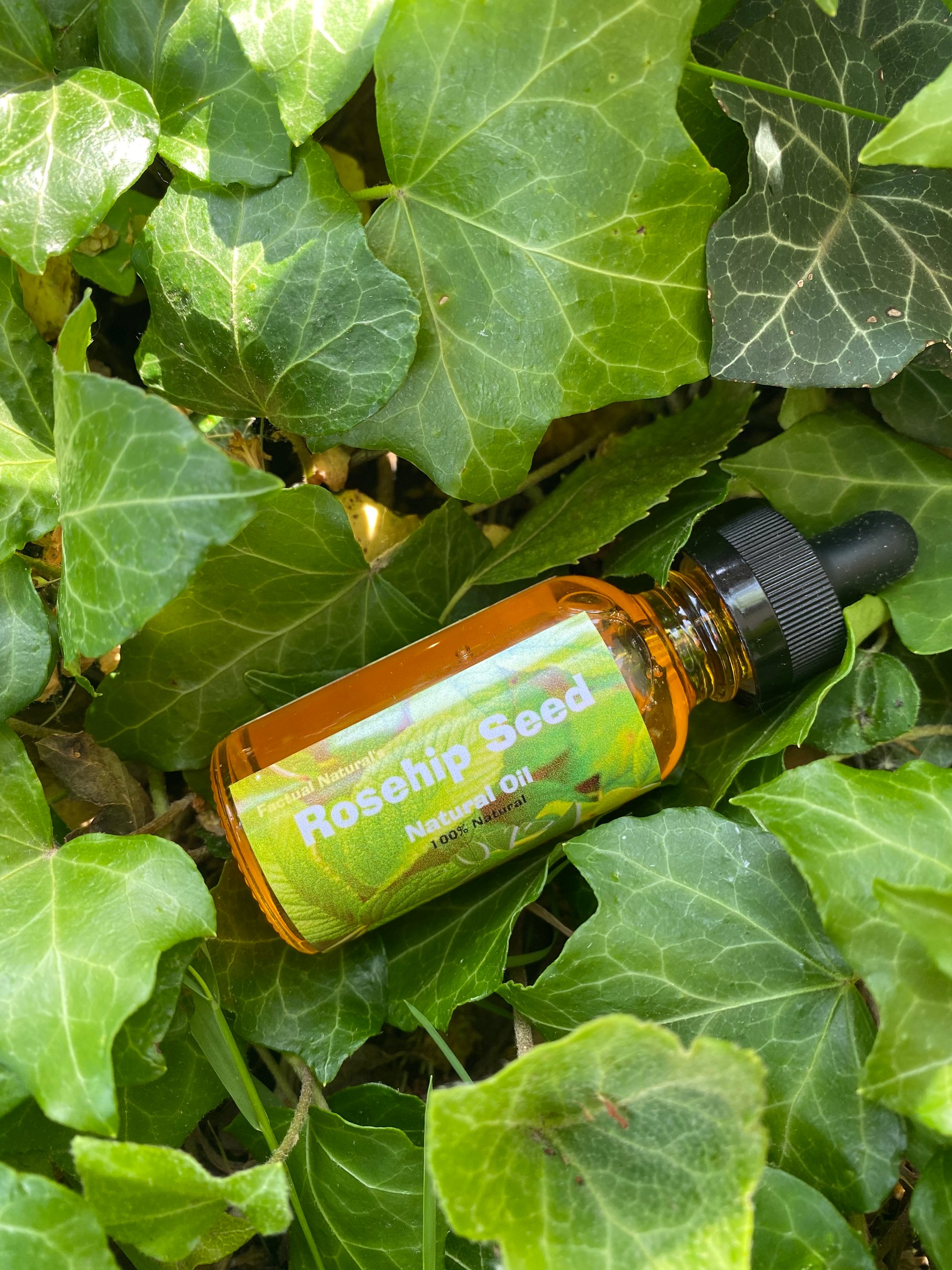 rosehip seed oil revolution rosehip seed oil revolution