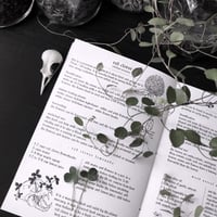 Image 3 of An abandoned journal - booklet