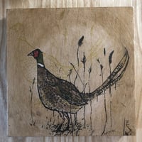 Image 1 of Pheasant 