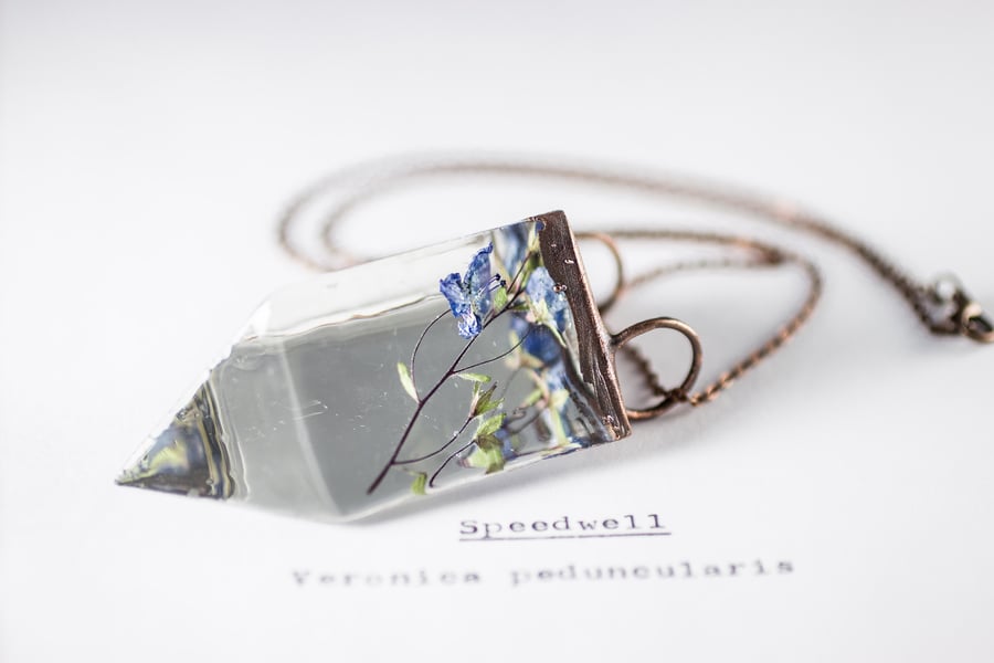 Image of Speedwell (Veronica peduncularis) - Small Copper Prism Necklace #4