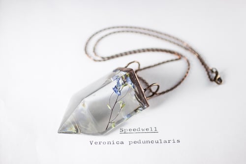 Image of Speedwell (Veronica peduncularis) - Small Copper Prism Necklace #4