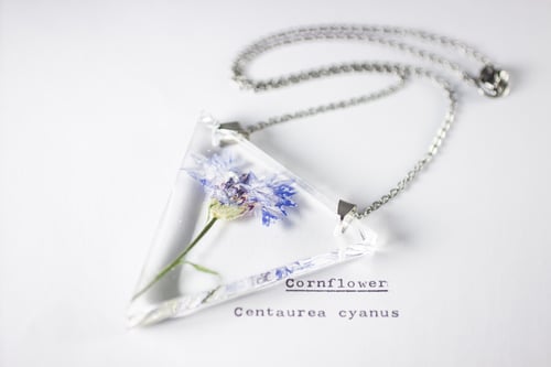 Image of Cornflower (Centaurea cyanus) - Triangular Pressed Pendant #1
