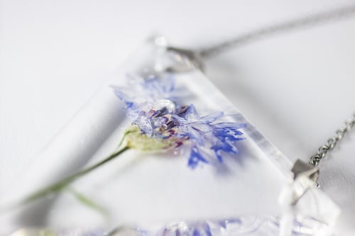 Image of Cornflower (Centaurea cyanus) - Triangular Pressed Pendant #1