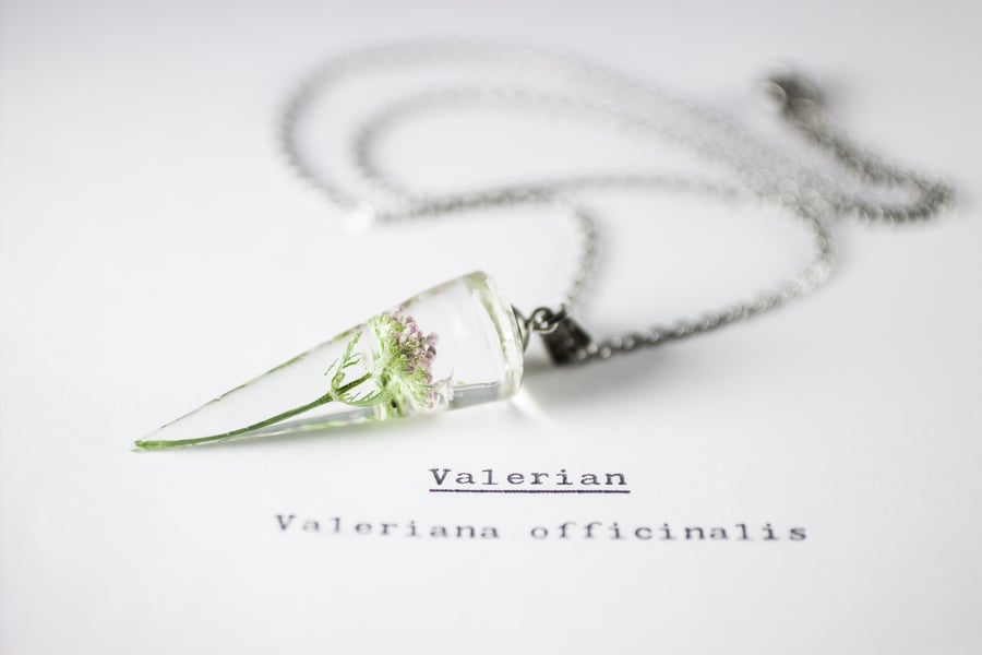 Image of Valerian (Valeriana officinalis) - Conical Pendant #1