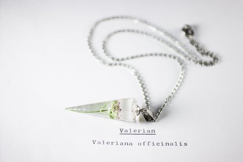 Image of Valerian (Valeriana officinalis) - Conical Pendant #1