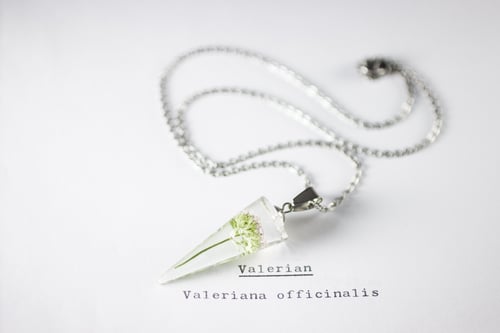 Image of Valerian (Valeriana officinalis) - Conical Pendant #2