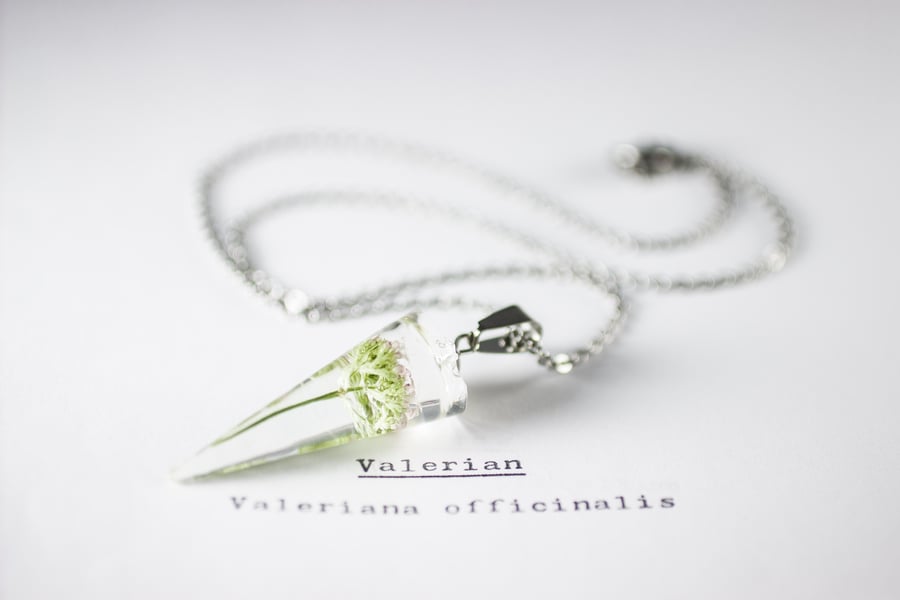 Image of Valerian (Valeriana officinalis) - Conical Pendant #2