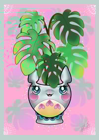 Image 4 of A4  totoro cheese plant 