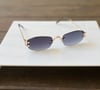 Intellect Shades 