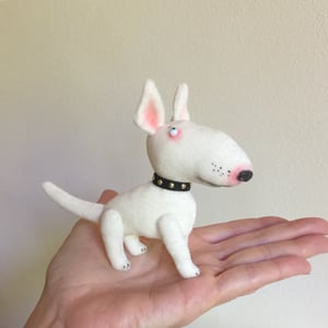 Image of Jake the Bull Terrier