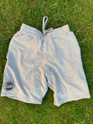 Image of Spirit of ‘58  Embroidered Jog Shorts Sports Grey 