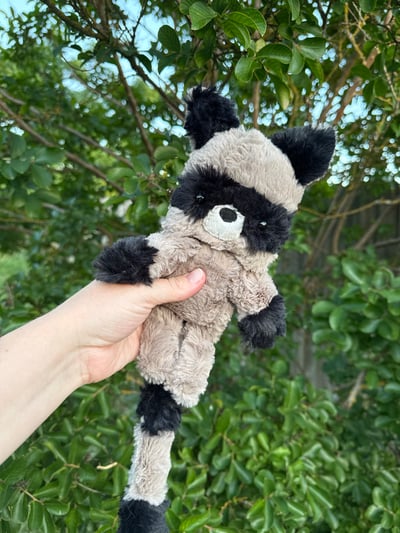 Image of PREORDER floppy raccoon 