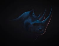 Night Rhino