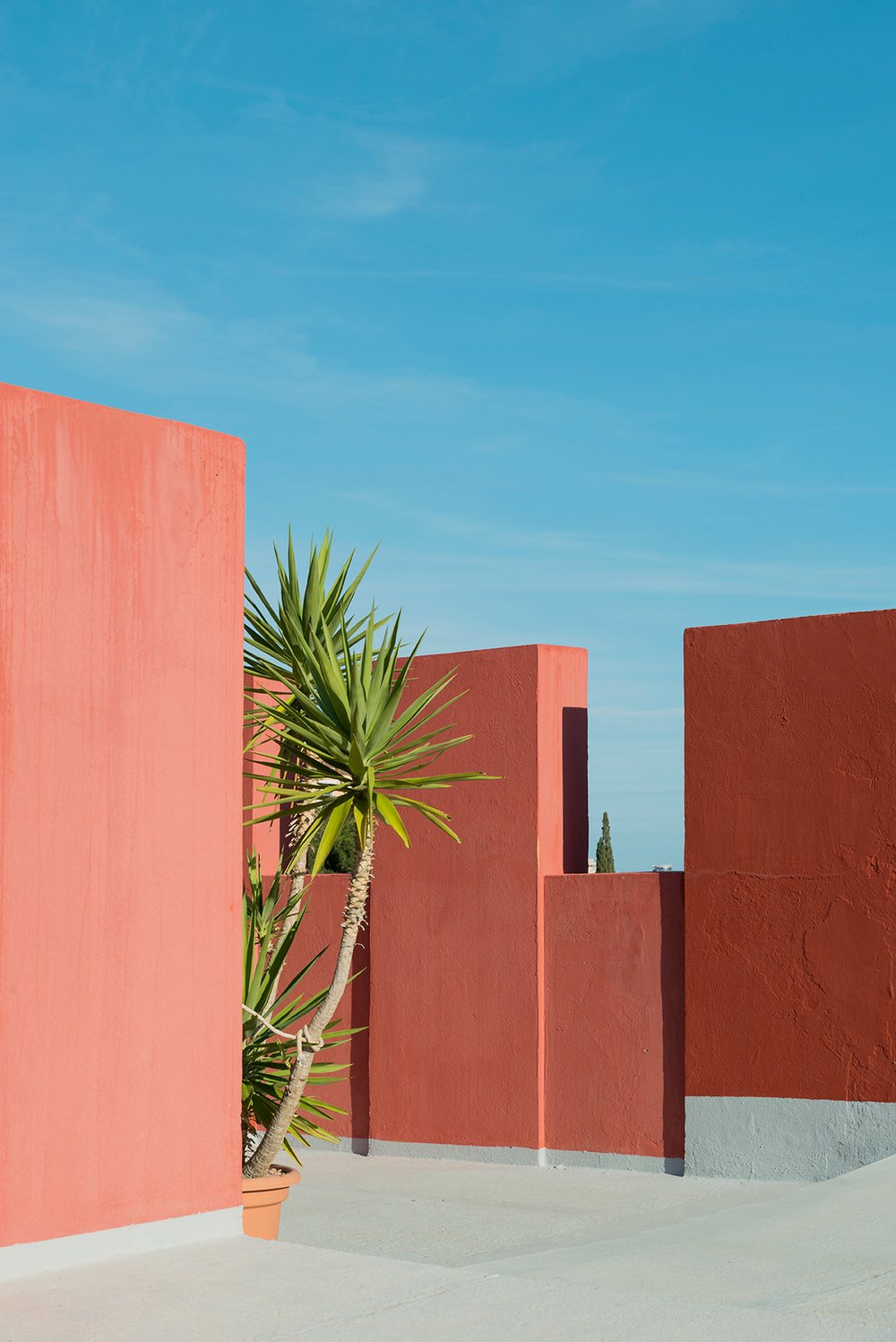 Muralla Roja #2