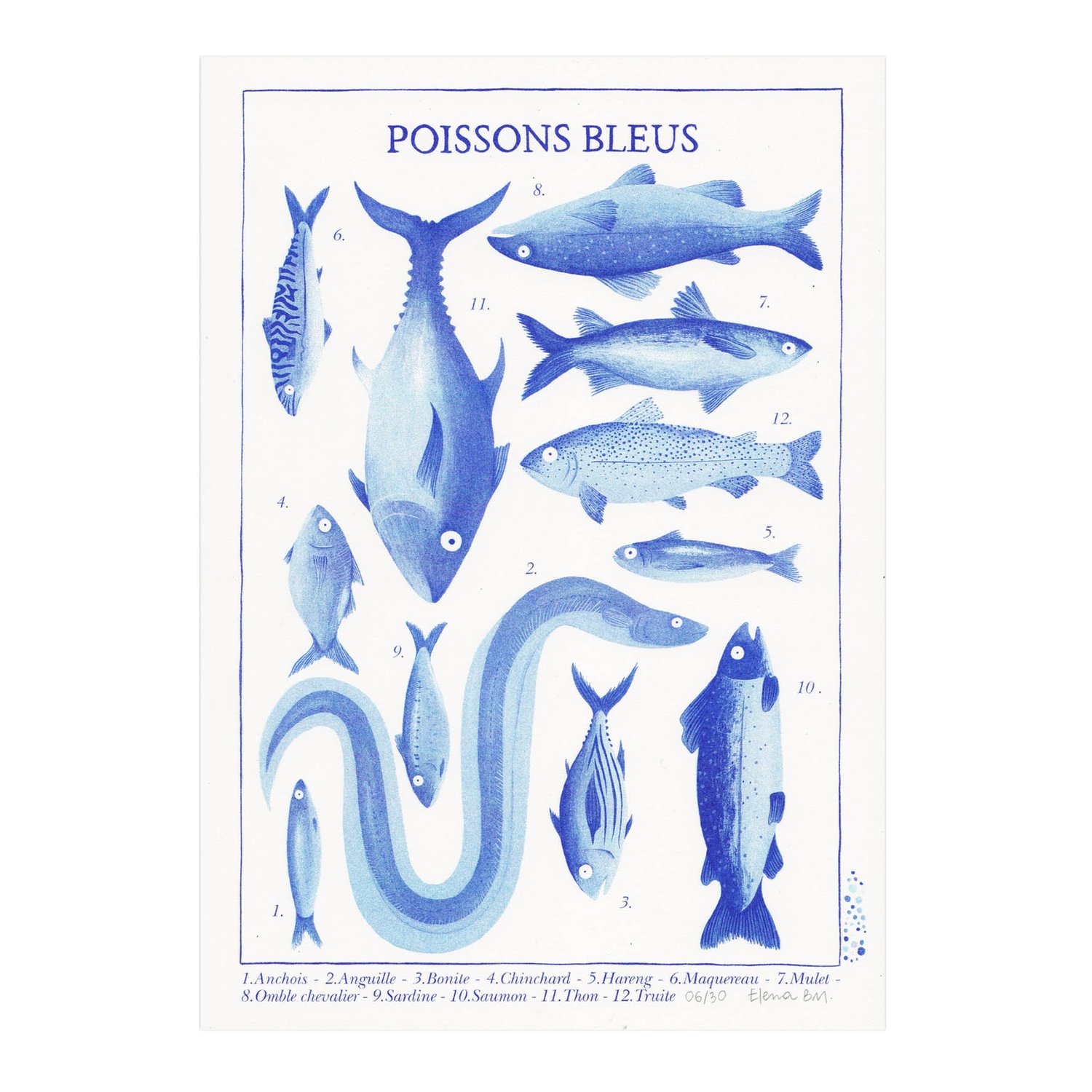 Image of Poissons bleus