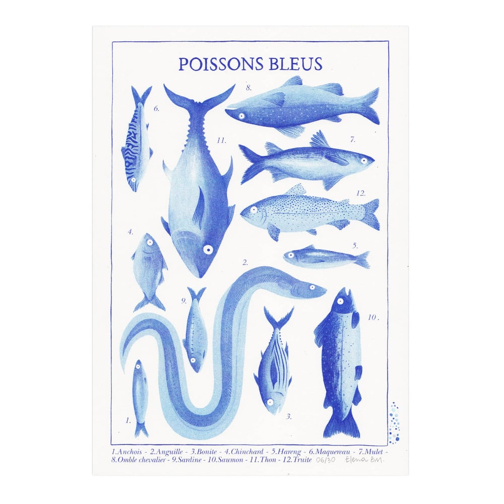 Image of Poissons bleus