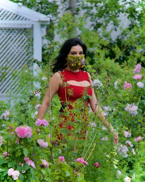 Image of Florentine - Dress