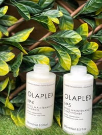 Olaplex shampoo & conditioner 