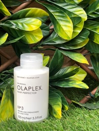 Olaplex no3 