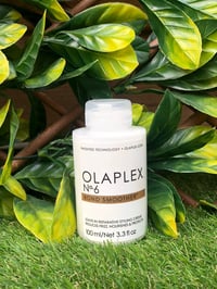 Olaplex no 6 