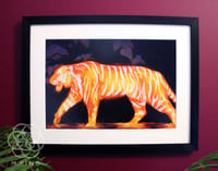 Image 2 of Tiger Tiger Art Prints