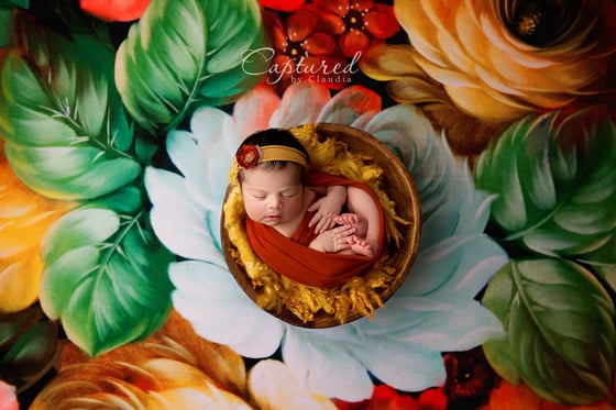 Image of Newborn "wrapped only" Mini Session- deposit