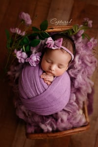 Image 2 of Newborn "wrapped only" Mini Session- deposit