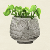 Owl Plant Print
