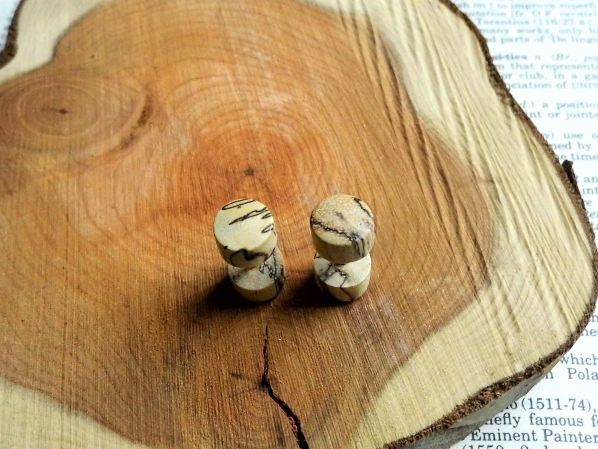 Pair of Zebra Wood Earrings Studs Faux Plugs