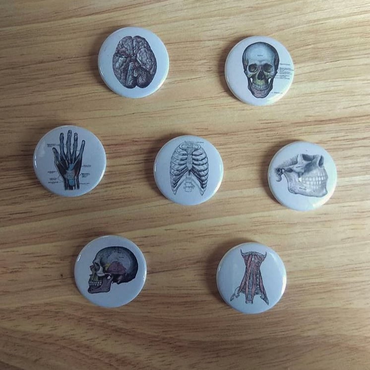 Image of Human Anatomy Button Badges / Pocket Mirrors
