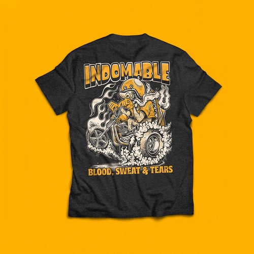 Image of Roth's trike