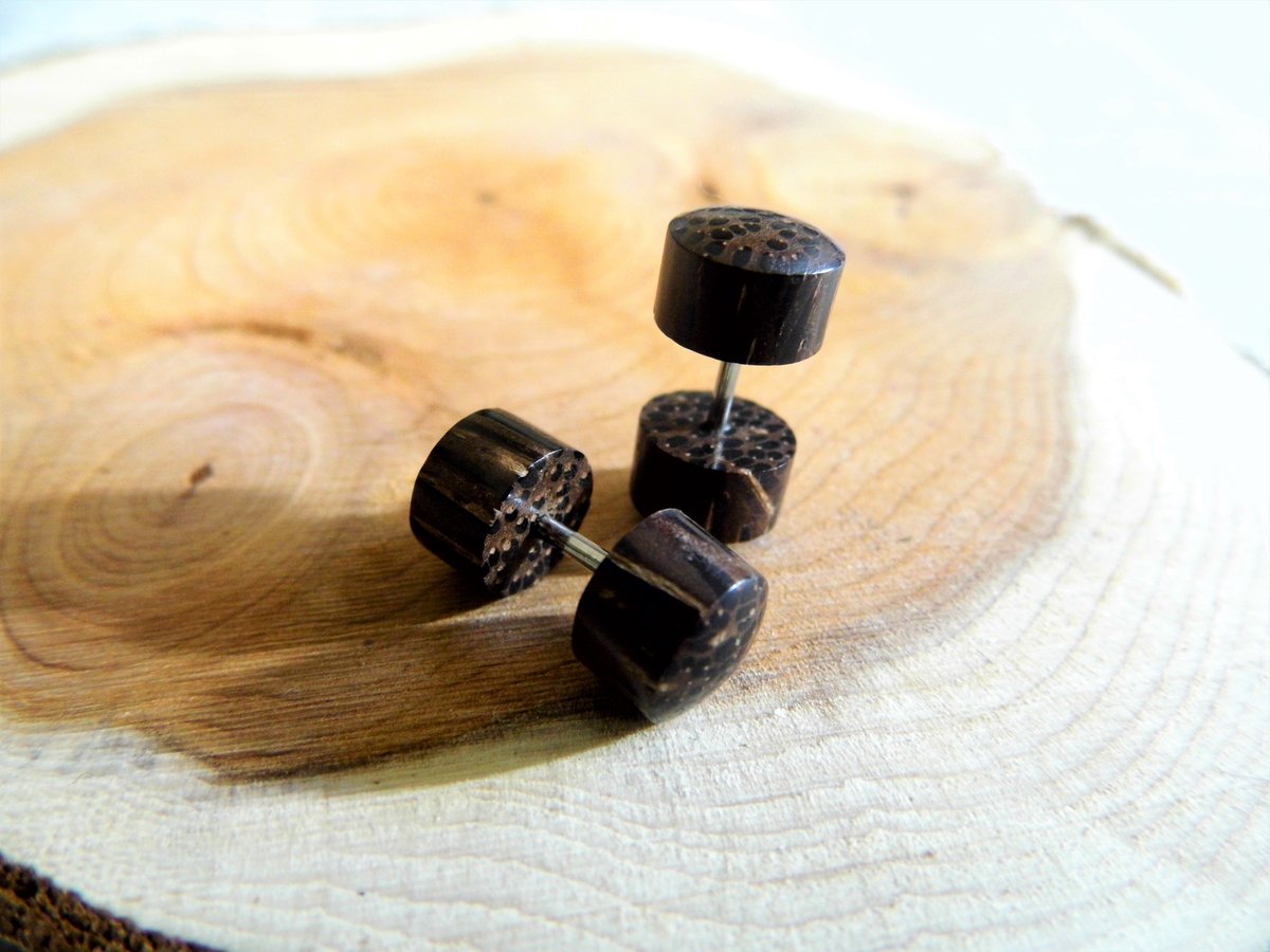 Pair Coco Wood Earring Studs Faux Plugs