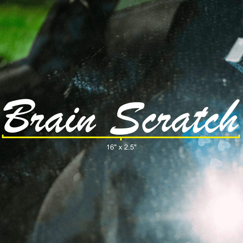 Image of 'Brain Scratch' Classic Decal