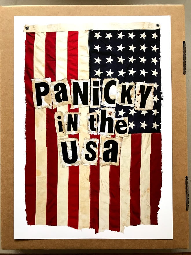 Image of PANICKY IN THE USA