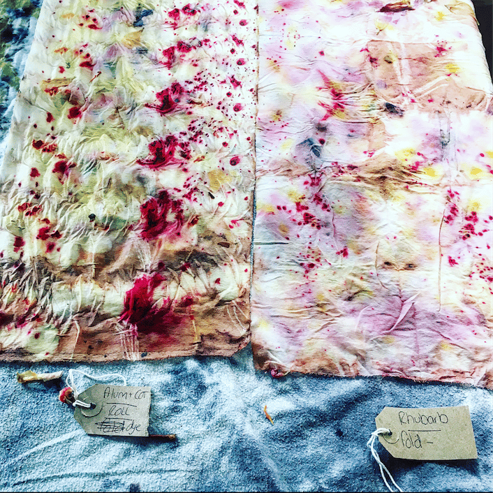 BOTANICAL INKS — ADVANCED Bundle Dyeing Recording