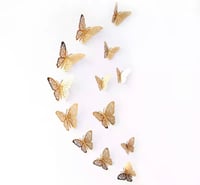 Papillons 