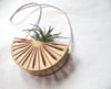 Terracotta Sunray Hanging Airplant Holder